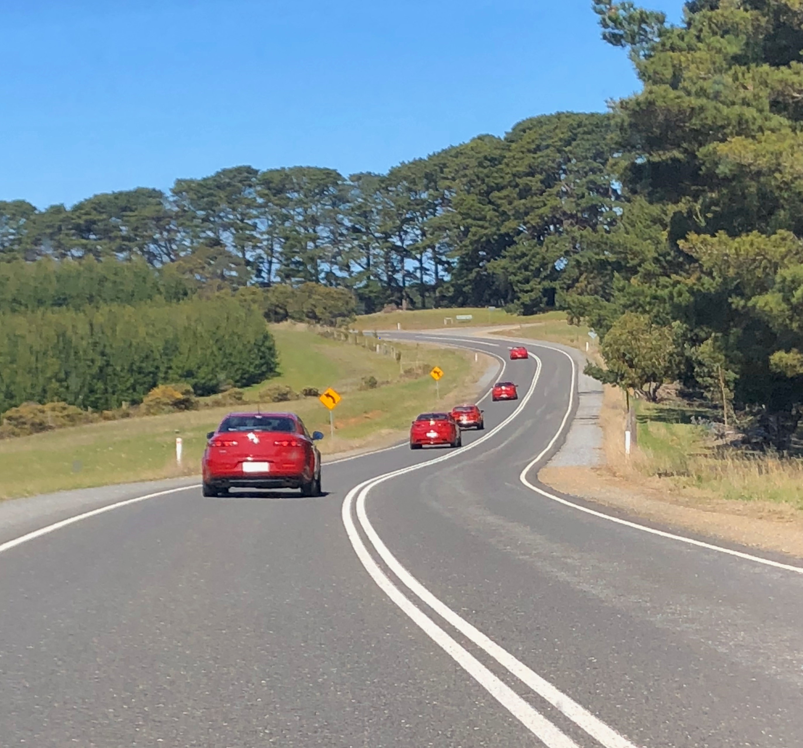 5 Alfas Targa Fleurieu